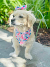 Load image into Gallery viewer, Mermaid Vibes