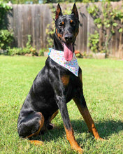 Load image into Gallery viewer, Happy Birthday! (Aqua)