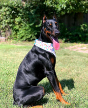 Load image into Gallery viewer, Happy Birthday! (Aqua)