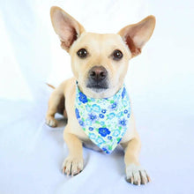 Load image into Gallery viewer, Blue Hydrangeas