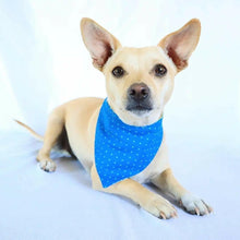 Load image into Gallery viewer, Blue Hydrangeas