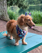 Load image into Gallery viewer, Vitamin Sea