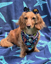 Load image into Gallery viewer, Vitamin Sea