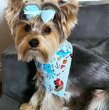 Load image into Gallery viewer, Pirate Life