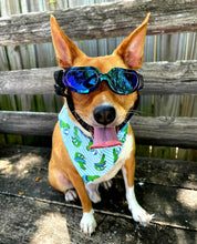 Load image into Gallery viewer, T-rex Pool Party