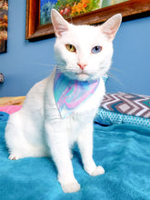 Load image into Gallery viewer, Pink Aurora