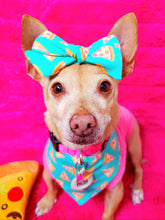 Load image into Gallery viewer, Pizza Pizza