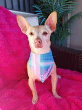 Load image into Gallery viewer, Sunset Paws