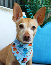 Load image into Gallery viewer, Pirate Life