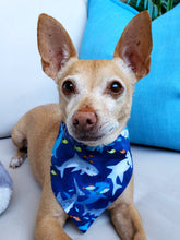 Load image into Gallery viewer, Shark Bait