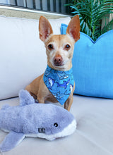 Load image into Gallery viewer, Swimming With Sharks