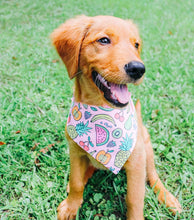 Load image into Gallery viewer, Pink Picnic
