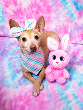 Load image into Gallery viewer, Some Bunny Loves You