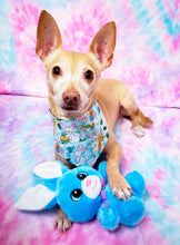 Load image into Gallery viewer, Easter Vibes