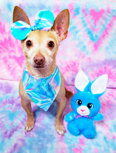 Load image into Gallery viewer, Feeling Hoppy