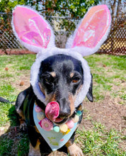 Load image into Gallery viewer, Easter Bunny