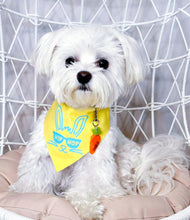 Load image into Gallery viewer, Hip Hop