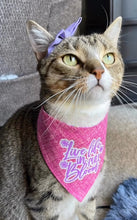 Load image into Gallery viewer, Live Live In Full Bloom