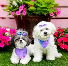 Load image into Gallery viewer, Diamonds Are Forever