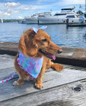 Load image into Gallery viewer, Pink Aurora