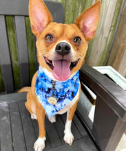 Load image into Gallery viewer, T-rex Pool Party