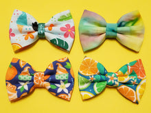 Load image into Gallery viewer, Summer Bow Ties
